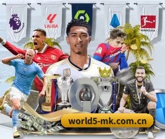 mk sport官网下载 APP 界面